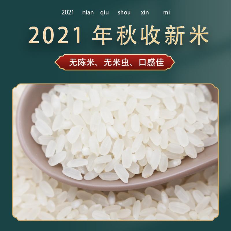 5kg五常大米东北大米长粒香新米 2021年新米长粒米粳米超长5斤OEM代加工