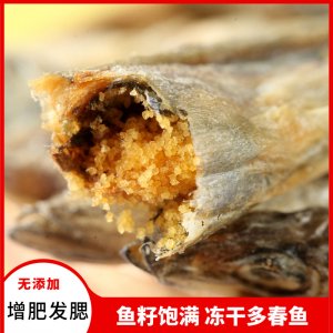 梓鑫冻干多春鱼猫  500g