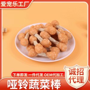 宠物零食哑铃肉饼干