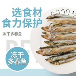 宠物零食成幼猫狗粮