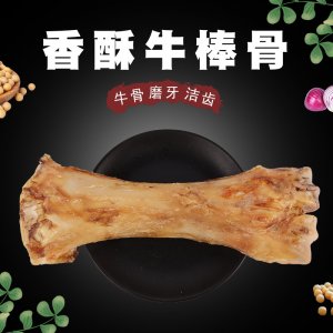 牛棒骨香酥牛棒骨狗狗