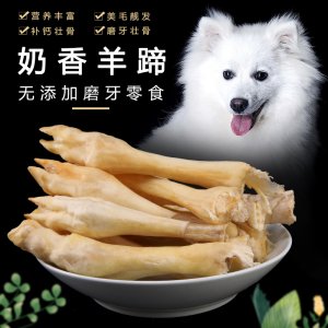 奶香羊蹄子 狗狗