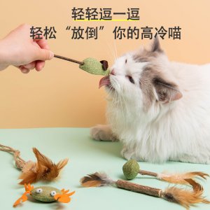 猫薄荷玩具猫薄荷球