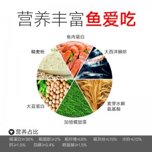 海豚薄片配合饲料鱼粮