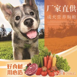 边牧大型成犬40斤装