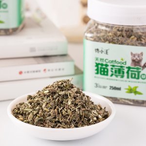 馋小汪猫薄荷 猫零食250ml