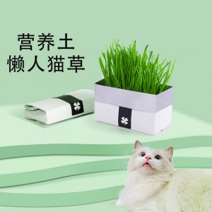 猫咪化毛猫草催吐毛球