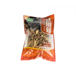 嘉新正茶树菇100g