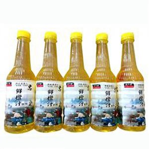 溢汁园鲜橙汁饮料500ml