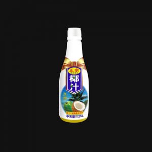 润庄椰子汁1.25L