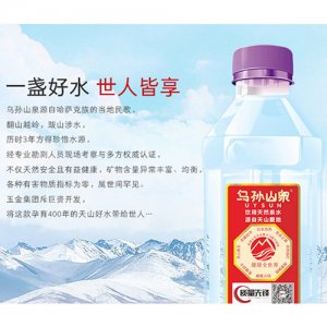 乌孙山泉饮用天然矿泉水310ml