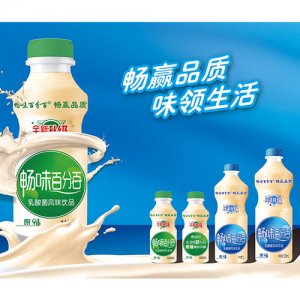 畅味百分百乳酸菌饮品原味340ml