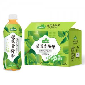 龙猫森林碳气青梅茶480mlx15瓶