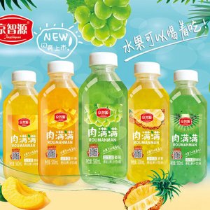 京智源果粒果汁饮料500ml