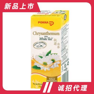 POKKA杭菊白茶250ml