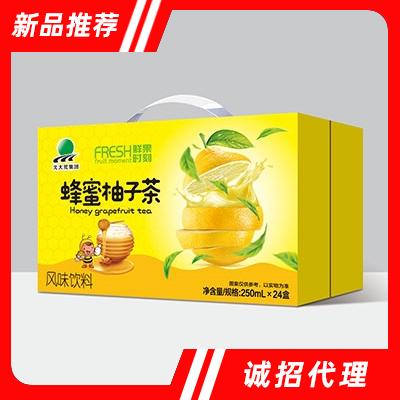 北大荒鲜果时刻蜂蜜柚子茶饮料250mlx24盒