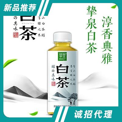 挚泉白茶茶饮料450ml