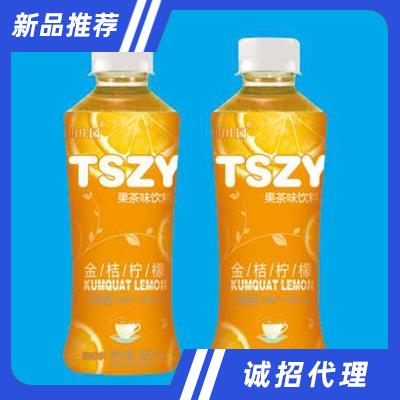 陶山庄园金桔柠檬果味茶饮料360ml