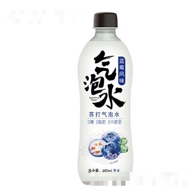 蓝莓风味苏打气泡水480ml