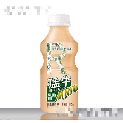 猛牛乳酸菌饮品340ml