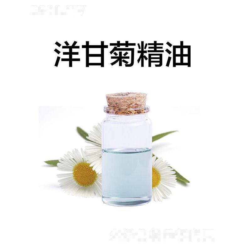 天竺洋甘菊精油