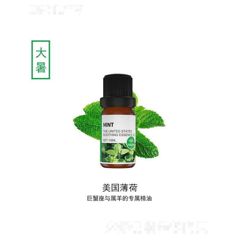 薄荷精油 10ml