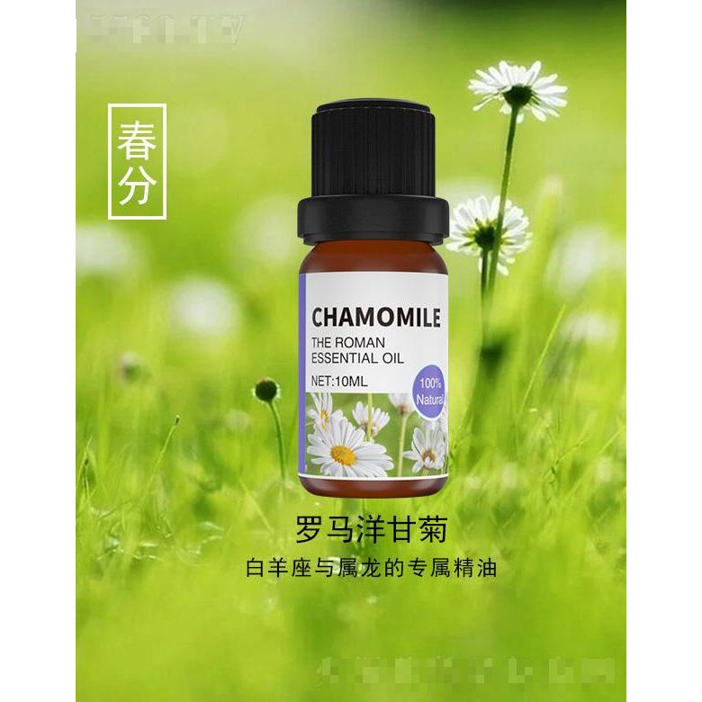 罗马洋甘菊精油 10ml