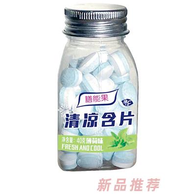 膳能果清凉含片40克薄荷味