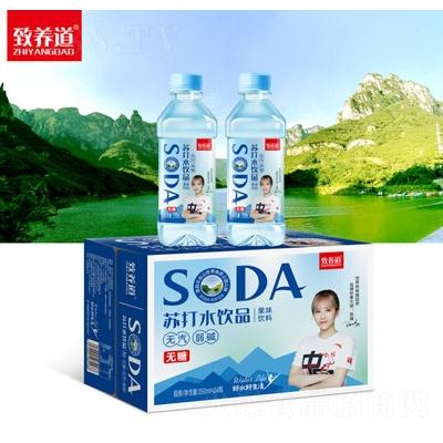 致养道苏打水饮品350mlX24OEM代加工